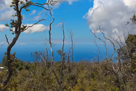 Undisclosed, Ocean View, HI 96737
