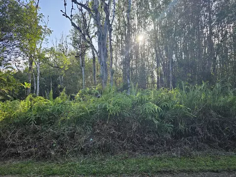 Road 6, Mountain View, HI 96760
