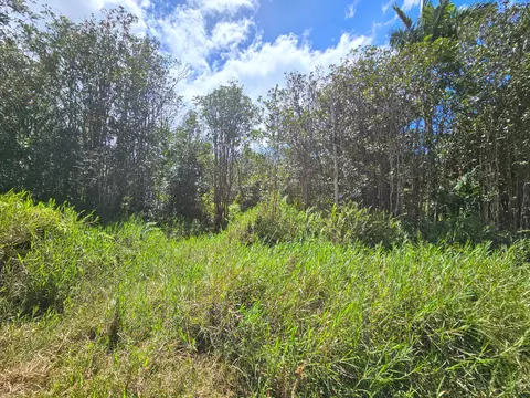 Road 9, Mountain View, HI 96760
