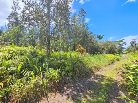 Road 9, Mountain View, HI 96760