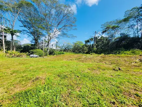 Nehu St, Pahoa, HI 96778