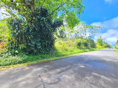 Maile St, Pahoa, HI 96778