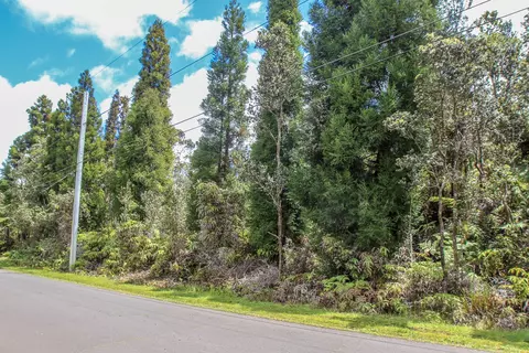 11-3781 Ala Ohia St, Volcano, HI 96785