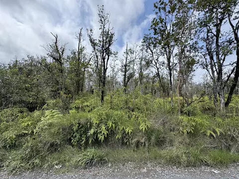 Omeka Road, Glenwood, HI 96785