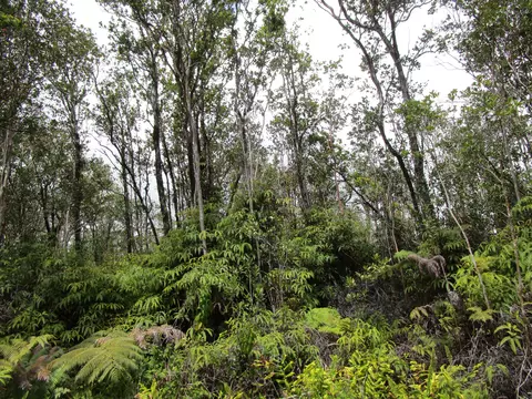 Kokokahi Rd, Volcano, HI 96785