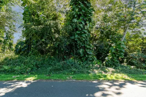 N Oio St, Pahoa, HI 96778