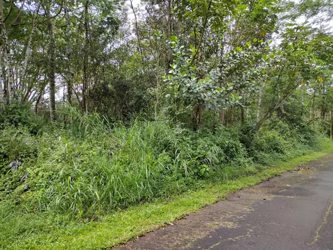 Church Rd, Pahoa, HI 96778