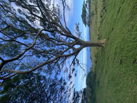 Undisclosed, Naalehu, HI 96772