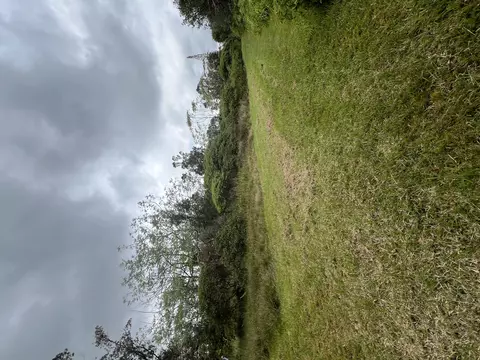 Kolea St, Mountain View, HI 96771