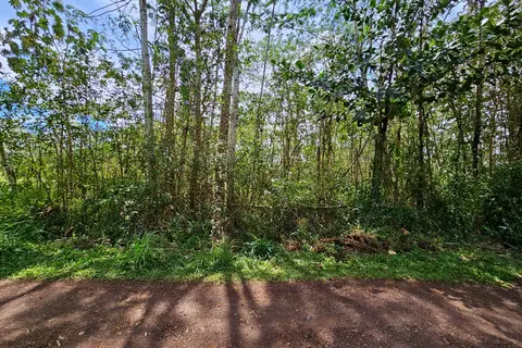Silversword Ct, Kurtistown, HI 96760