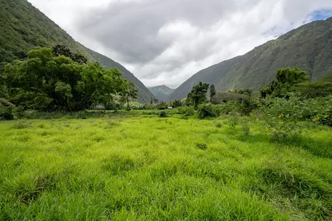 Waipio Valley Rd, Honokaa, HI 96727