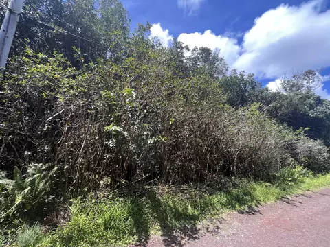 Puna St, Pahoa, HI 96778
