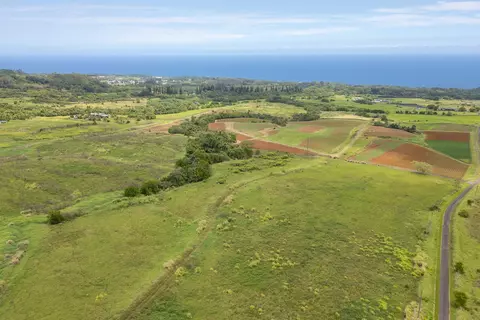 Onohi Loop, Pepeekeo, HI 96783 photo 6