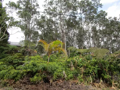 Anuhea St, Volcano, HI 96785