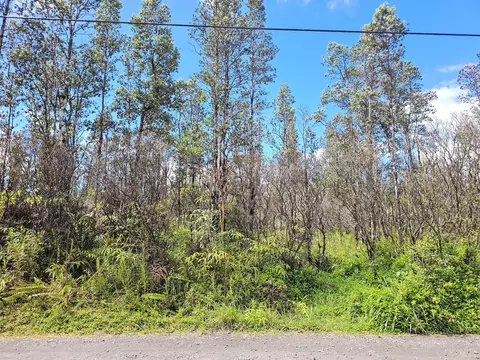 Road F, Mountain View, HI 96760