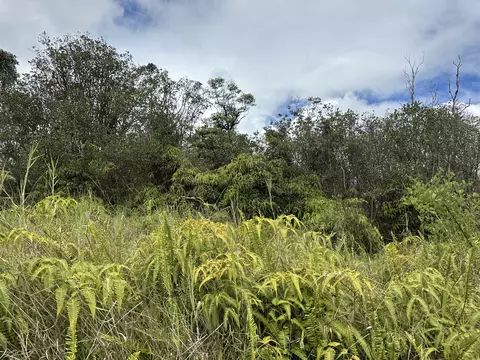 Heno St, Volcano, HI 96785