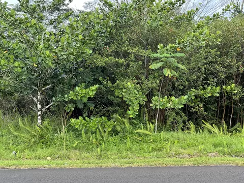 Pohaku Circle, Keaau, HI 96760