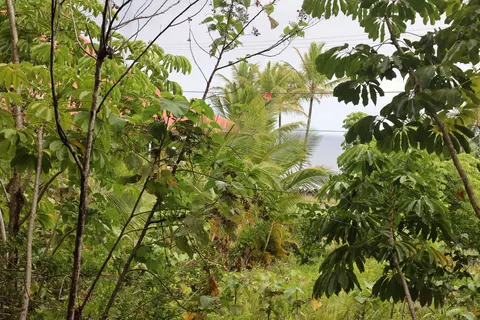 Kaehukai St, Pahoa, HI 96778