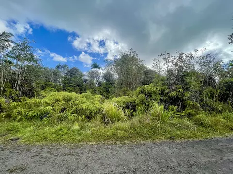 Road 4, Mountain View, HI 96760