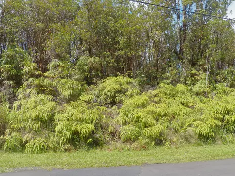 Pikake St, Mountain View, HI 96771