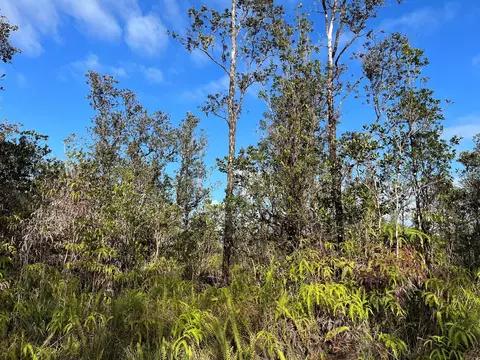 Road 3, Mountain View, HI 96760