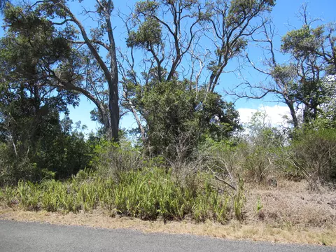 Bamboo Lane, Ocean View, HI 96737