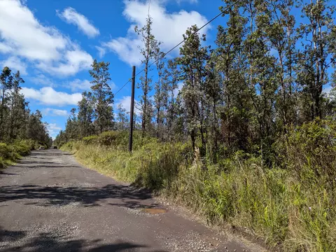 3954 Road 5, Mountain View, HI 96760