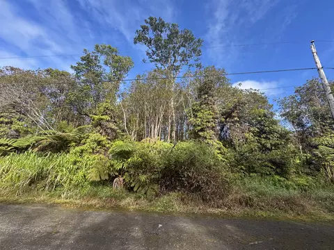 Road 11, Volcano, HI 96785