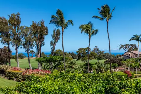 68-3840 Lua Kula St #D201, Waikoloa, HI 96738