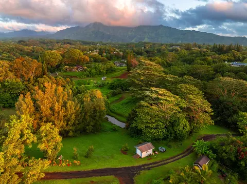olohena rd, Kapaa, HI 96746