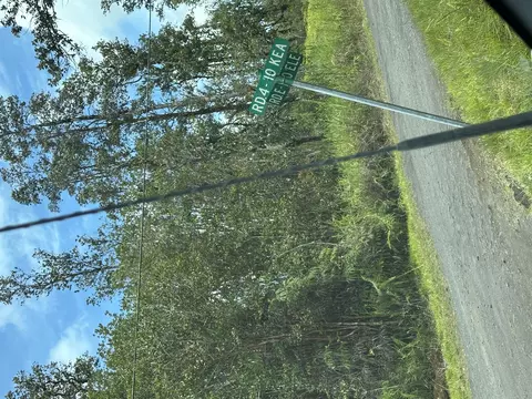 Road 4, Mountain View, HI 96760