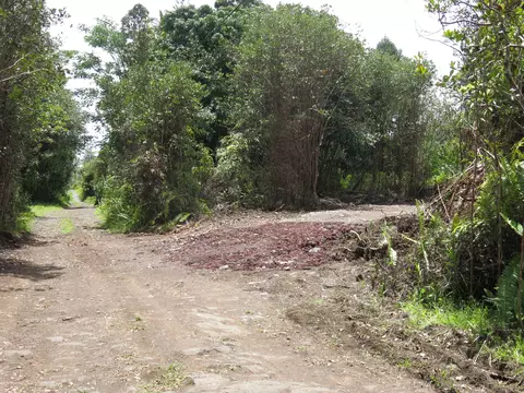 Road 11, Kurtistown, HI 96760