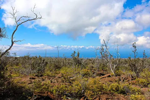 Undisclosed, Ocean View, HI 96737