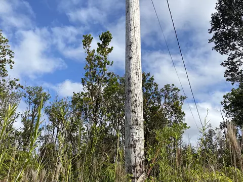 Kaleponi Dr, Volcano, HI 96785 photo 4