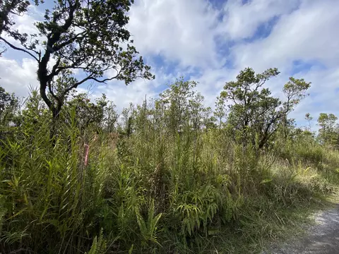 Kaleponi Dr, Volcano, HI 96785 photo 6