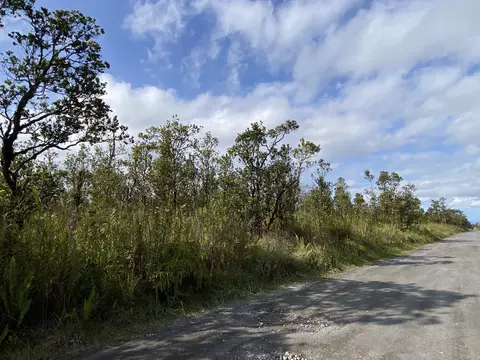 Kaleponi Dr, Volcano, HI 96785 photo 11