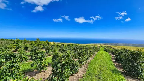 95-3869 Halemauna Rd, Naalehu, HI 96772