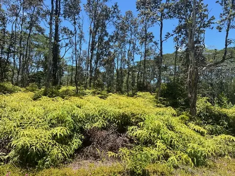 Plumeria Rd, Pahoa, HI 96778