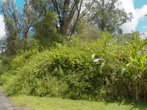 Hinuhinu St, Volcano, HI 96785