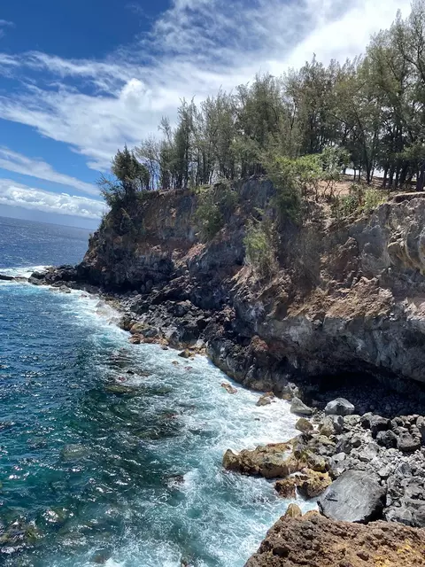 45-5060 Nanaina Kai Rd, Honokaa, HI 96727
