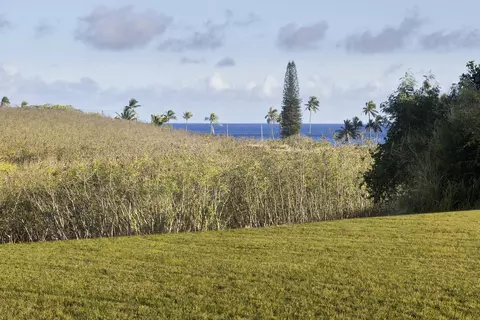 Lau Nahele St, Koloa, HI 96756