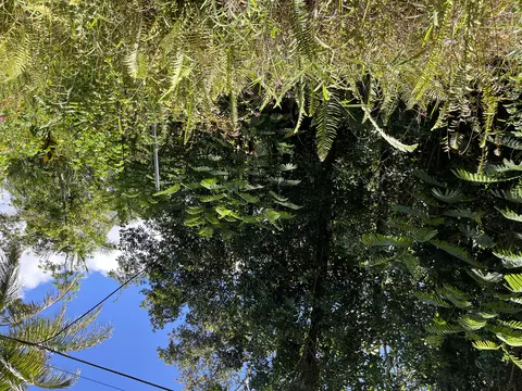 12-543 Kapoho St, Pahoa, HI 96778