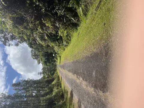 Pahoa Rd, Pahoa, HI 96778