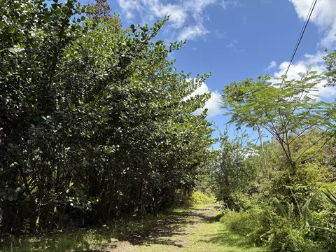 16-1432 Poouli Rd, Kurtistown, HI 96760