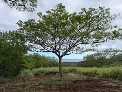 Punaluu Rd, Naalehu, HI 96772