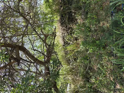 Mauka St, Naalehu, HI 96772