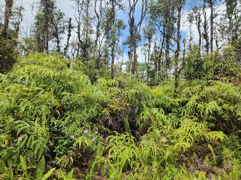 Molokai Rd, Pahoa, HI 96778