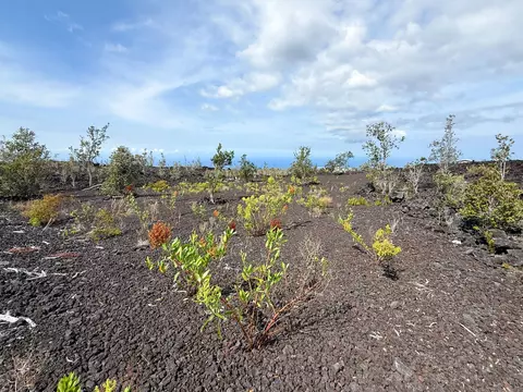 92-8911 Lehua Ln, Ocean View, HI 96737