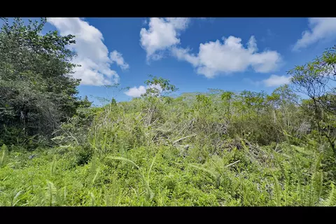 15-1995 31st Ave, Keaau, HI 96749