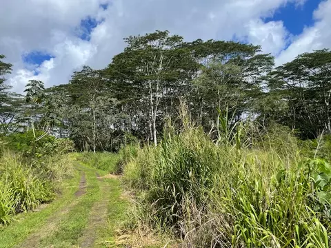 Undisclosed, Kurtistown, HI 96760
